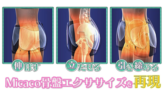 固くなった骨盤まわりを「伸ばす」「立たせる」「引き締め」の動きでサポートしてスッキリボディが目指せる！